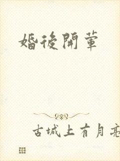 婚后开荤封面
