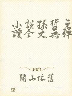小说孙哲免费阅读全文无弹窗