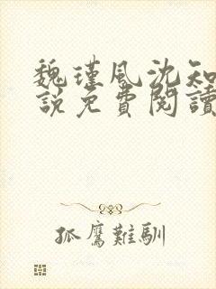 魏瑾风沈知玉小说免费阅读最新章节封面