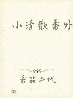小清欢番外封面