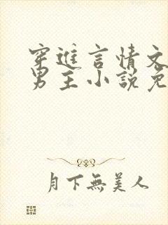穿进言情文里撩男主小说免费阅读