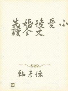 先婚后爱小说阅读全文封面
