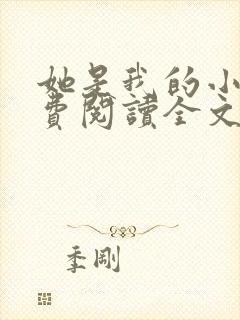 她是我的小说免费阅读全文