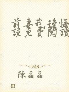 前妻我后悔了小说免费阅读