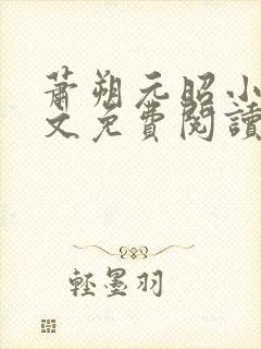 萧朔元昭小说全文免费阅读