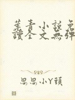 叶青小说免费阅读全文无弹窗