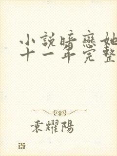 小说暗恋她的第十一年完整版