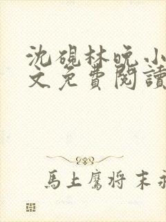 沈砚林晚小说全文免费阅读