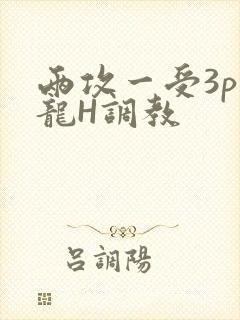 两攻一受3p双龙H调教