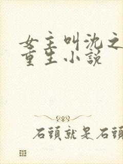 女主叫沈之念的重生小说封面