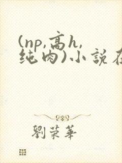 (np,高h,纯肉)小说在线阅读