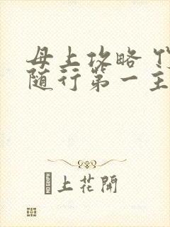 母上攻略 竹影随行第一主板