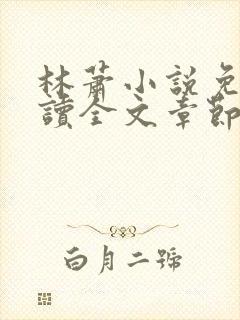林萧小说免费阅读全文章节
