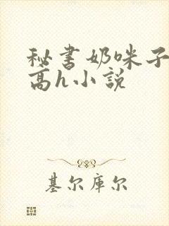 秘书奶咪子真大高h小说