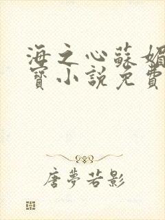 海之心苏媚赵大宝小说免费