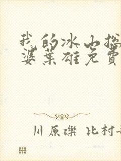 我的冰山总裁老婆叶雄免费阅读