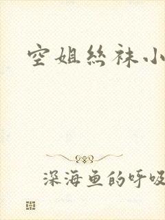 空姐丝袜小说