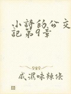 小诗的公交车日记第9章