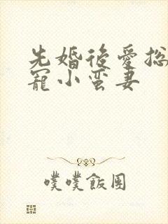 先婚后爱总裁娇宠小蛮妻