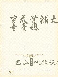穿成首辅大人的童养媳