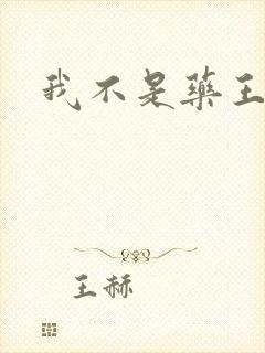 我不是药王封面