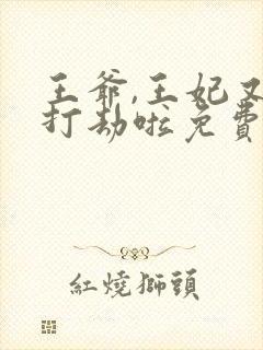王爷,王妃又去打劫啦免费阅读