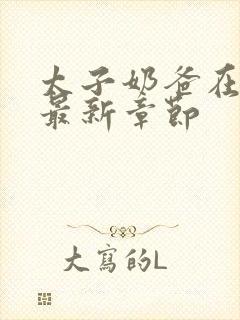太子奶爸在花都最新章节封面