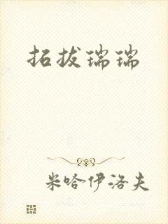 拓拔瑞瑞封面