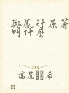 与凤行原著小说叫什么封面