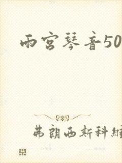 雨宫琴音500封面