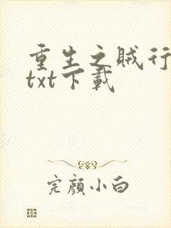 重生之贼行天下txt下载