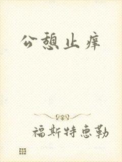 公憩止痒封面