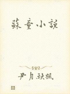 苏童小说