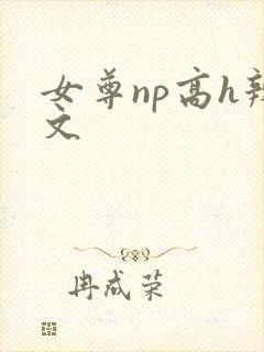 女尊np高h辣文