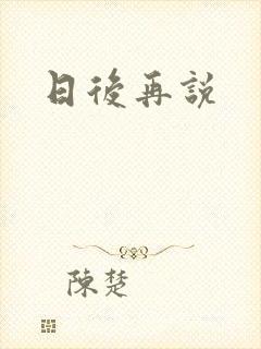 日后再说封面