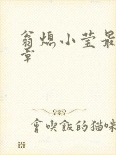 翁熄小莹最新节章封面