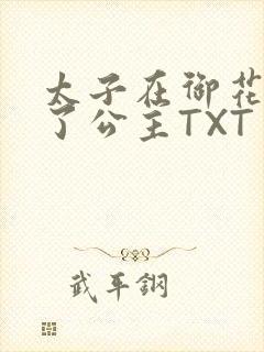太子在御花园要了公主TXT封面