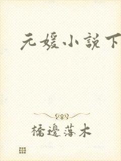 元媛小说下载