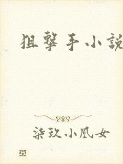 狙击手小说