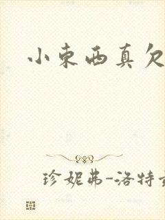 小东西真欠弄