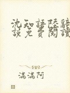 沈知语陆辞衍小说免费阅读封面