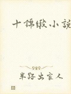 十锦缎小说封面
