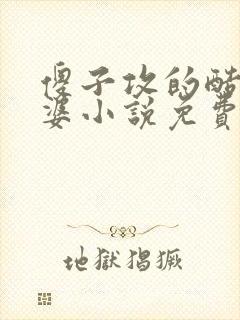 傻子攻的酷哥老婆小说免费阅读最新章节列表