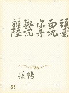 谁与你白头成眷陆沉舟沈意欢小说
