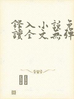 锋入小说免费阅读全文无弹窗封面