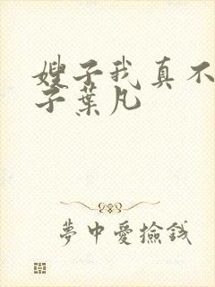 嫂子我真不是傻子叶凡封面