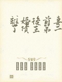 离婚后前妻变成了债主第二部封面