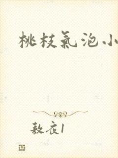 桃枝气泡小说
