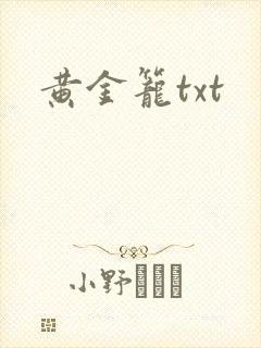 黄金笼txt