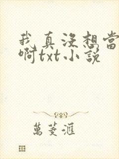 我真没想当皇帝啊txt小说